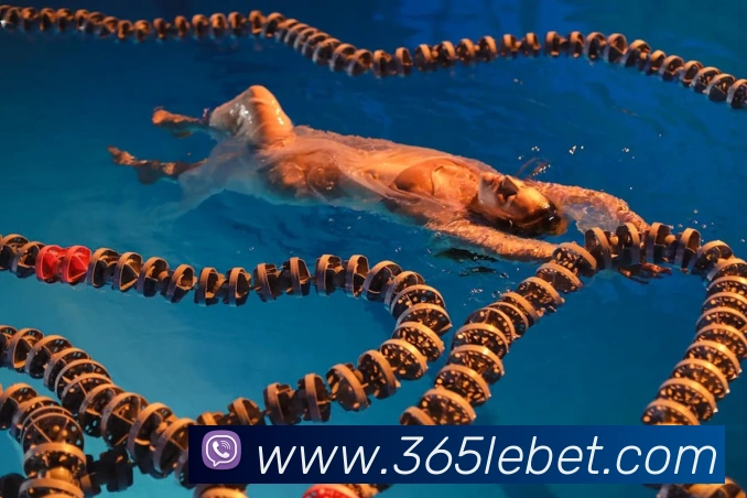 365betAPP 封面图